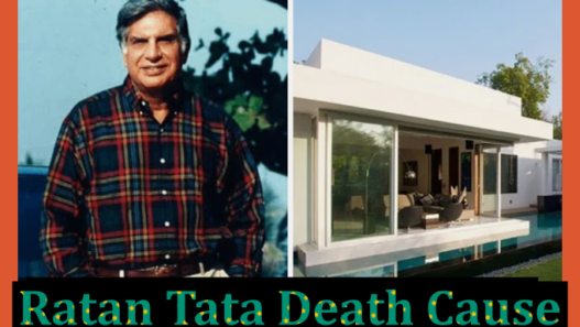 Ratan Tata Death Cause 2024 - Exploring The Key Reason - RIP