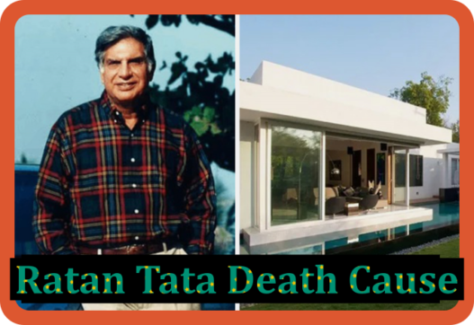 Ratan Tata Death Cause 2024 - Exploring The Key Reason - RIP