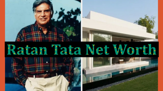 Ratan Tata Net Worth 2024 - Rest In Peace Legend! Gem Lost